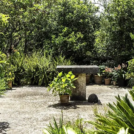 Villa Mallorcan Farmhouse Near Finca Oleander Butxaco Pollenca