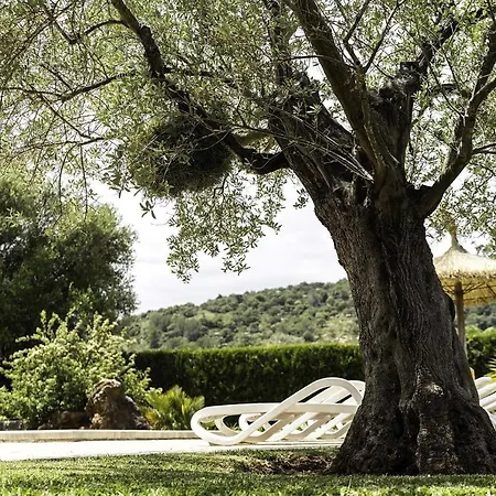 Mallorcan Farmhouse Near Finca Oleander Butxaco Villa *
